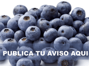 ARANDANOS-PUBLICIDAD