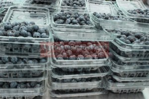arandanos-exportacion
