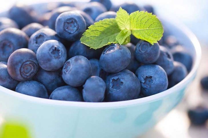Blueberries-in-a-bowl-728x485