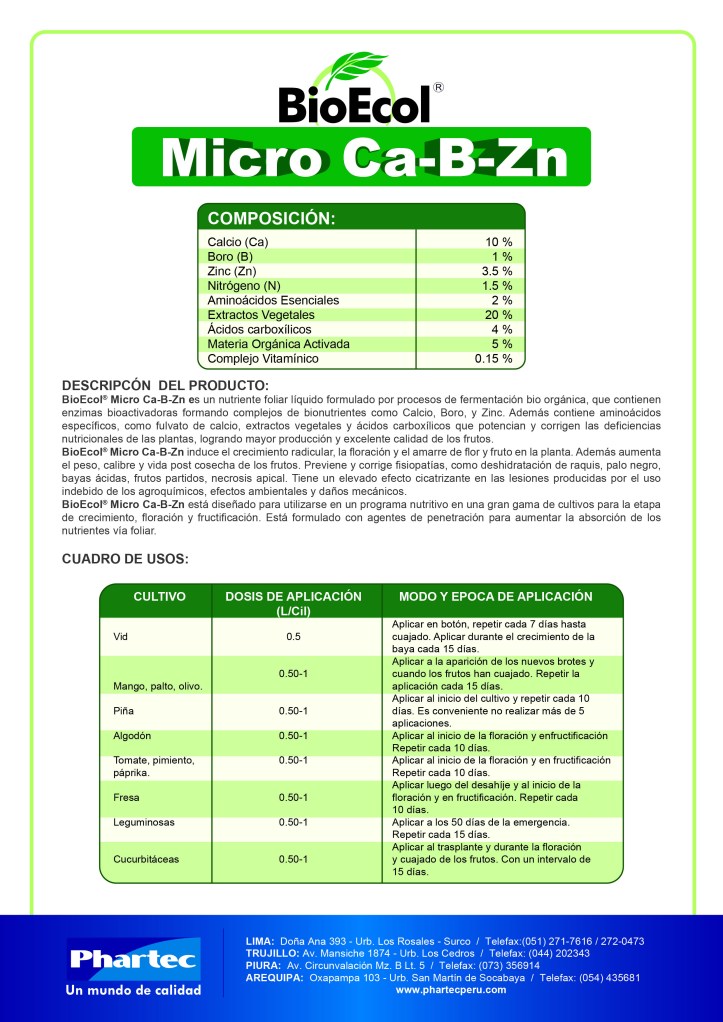 BE MicroCaBZn final