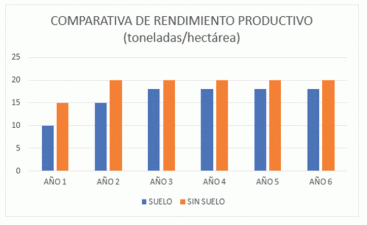 cuadro-arandanos-projar