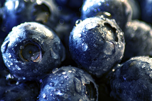 blueberry-3460421_640