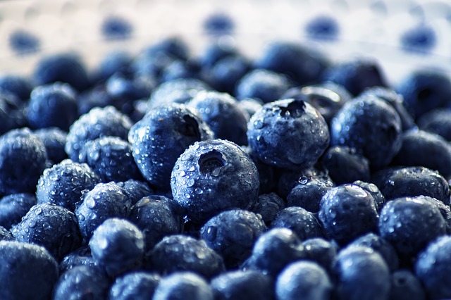 blueberry-3460423_640