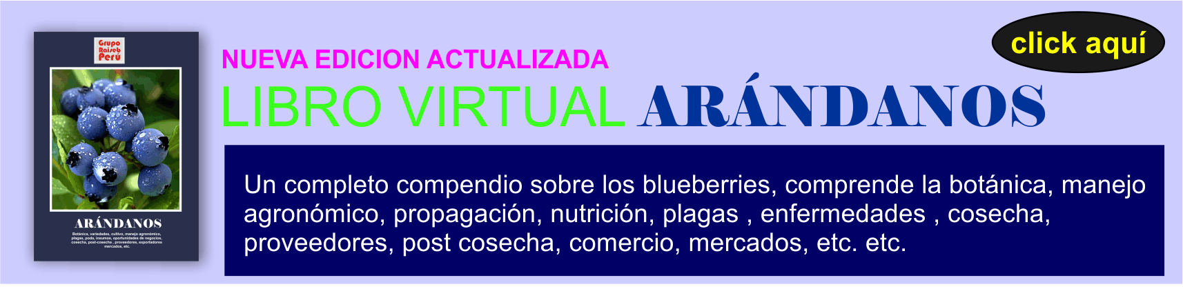 Libro arándanos